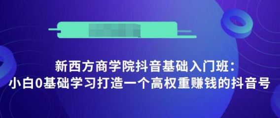 抖音基础入门班：小白0基础学习打造一个高权重赚钱的抖音号-86资源库