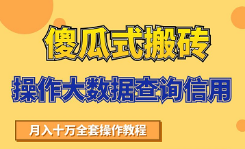 搬砖操作大数据查询信用项目赚钱教程，祝你快速月入6万-86资源库