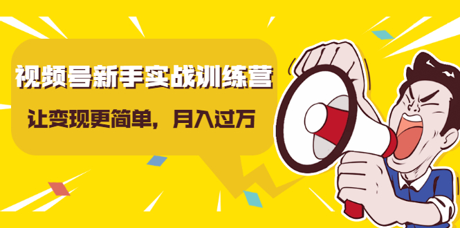 视频号新手实战训练营，让变现更简单，玩赚视频号，轻松月入过万-86资源库