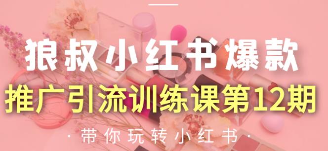 狼叔小红书爆款推广引流训练课第12期，手把手带你玩转小红书-86资源库