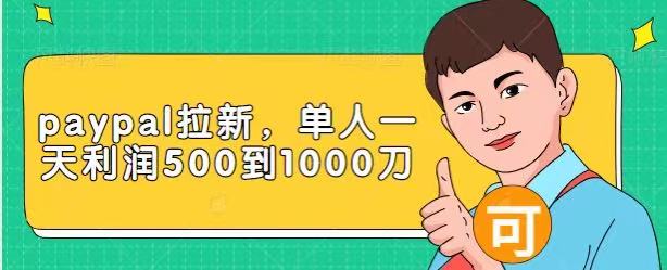 Paypal拉新赚美刀项目，单人一天利润500-1000刀【视频课程】-86资源库