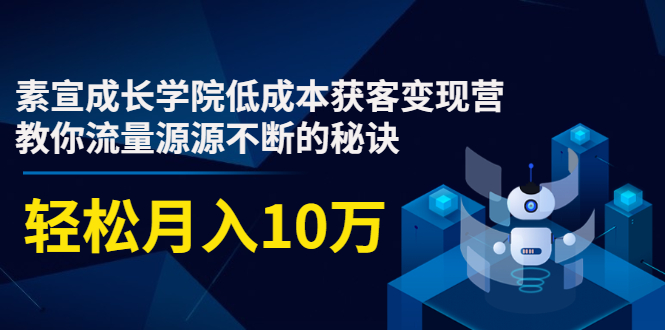 素宣成长学院低成本获客变现营，教你流量源源不断的秘诀，轻松月入10万-86资源库