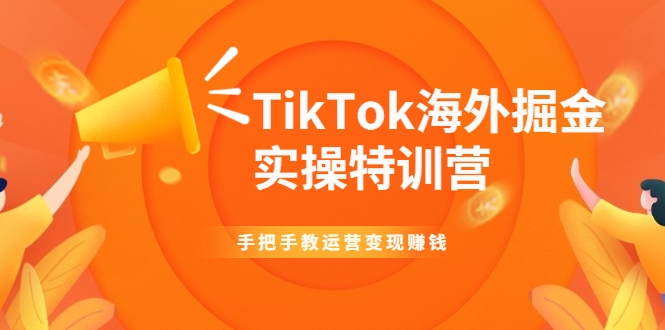 TikTok海外掘金实操特训营：手把手教运营变现赚钱-86资源库