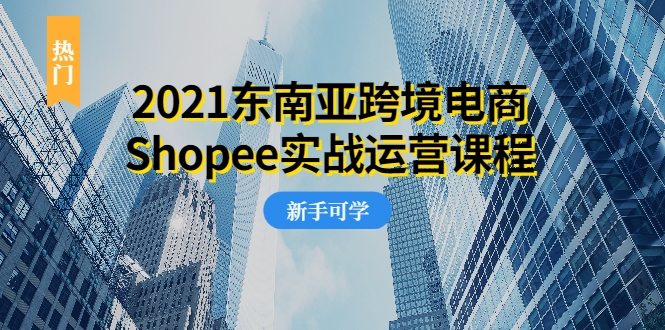 2021东南亚跨境电商Shopee实战运营课程，0基础、0经验、0投资的副业项目-86资源库
