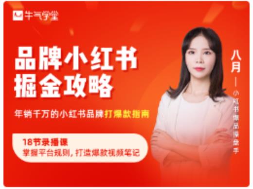 品牌小红书掘金攻略，年销千万的小红书品牌打爆款指南-86资源库