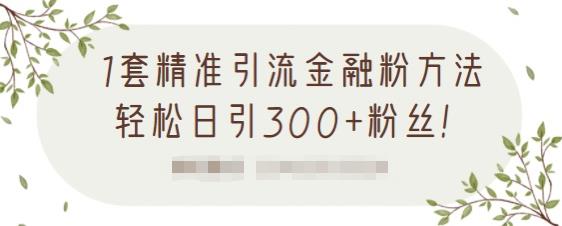1套精准引流金融粉方法，轻松日引300+粉丝-86资源库