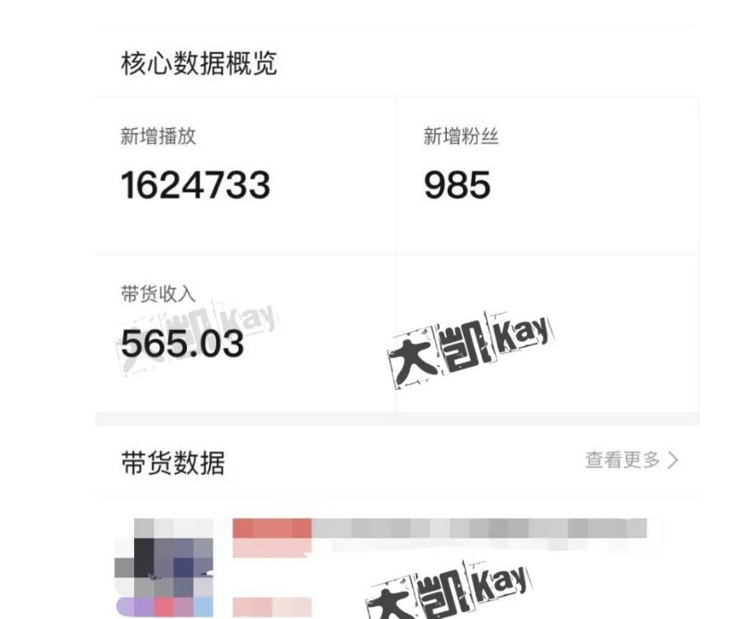 大凯进阶圈新玩法之拼多多视频玩法，利润大概一个号一天能有500~1500的左右!-86资源库