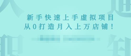 2022年虚拟项目实战指南，新手从0打造月入上万店铺-86资源库