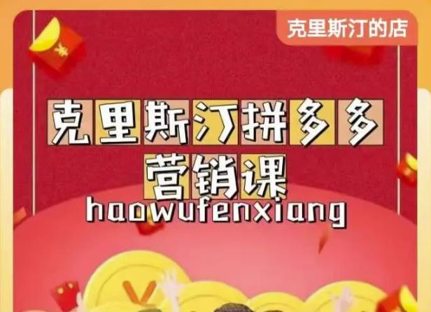 克里斯汀拼多多运营课，适合小白初涉平台，低成本入门-86资源库
