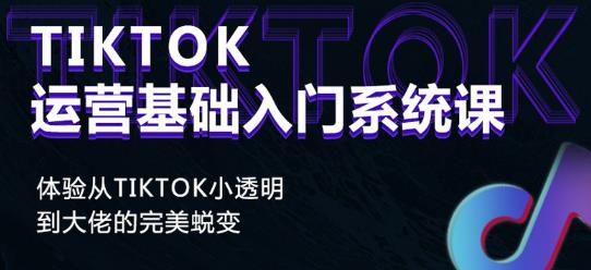 Tiktok实操进阶课程，体验从tiktok小透明到大佬的完美蜕变-86资源库