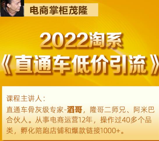 茂隆2022直通车低价引流玩法，教大家如何低投入高回报的直通车玩法-86资源库