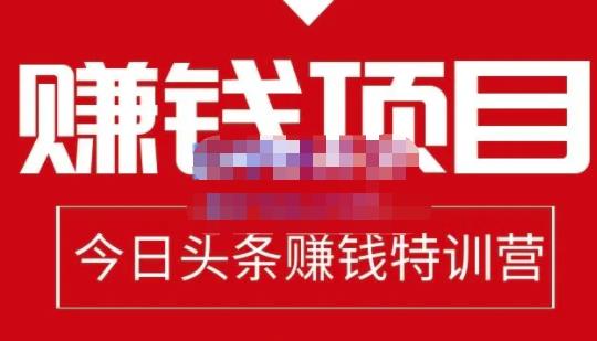 懒人领域·今日头条项目玩法，头条中视频项目，单号收益在50—500可批量-86资源库