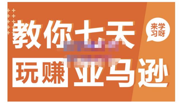 晟尧跨境·教你七天玩赚亚马逊，教你轻松玩赚亚马逊，适合小白学习-86资源库