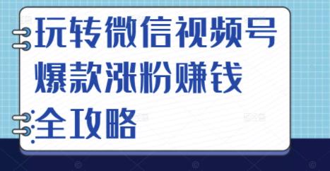 玩转微信视频号爆款涨粉赚钱全攻略，让你快速抓住流量风口，收获红利财富-86资源库
