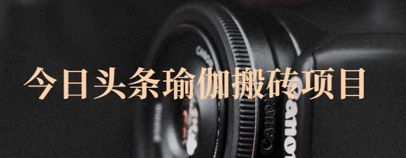 猎人社区·今日头条瑜伽搬砖项目，单号一天几十收入，可以批量操作！-86资源库