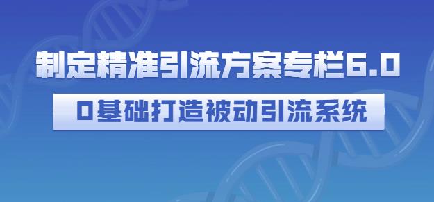 制定精准引流方案专栏6.0，0基础打造被动引流系统-86资源库