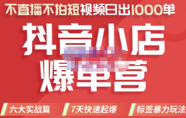 推易电商·2022年抖音小店爆单营，不直播、不拍短视频、日出1000单，暴力玩法-86资源库