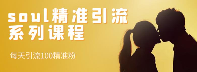 soul精准引流系列课程，每天引流100精准粉-86资源库