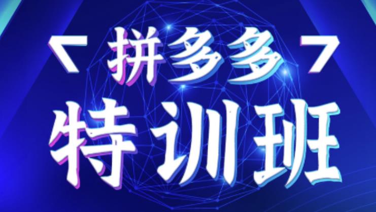 星雪教育·拼多多基础班+进阶班+突破班，用系统的学习模式快速改变现状价值3580元-86资源库