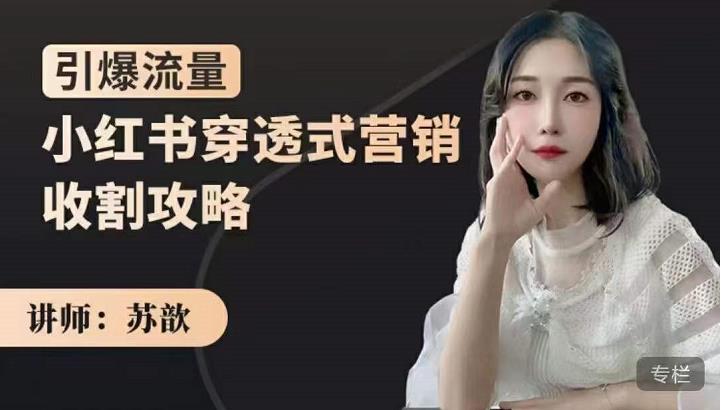 苏歆：小红书穿透式营销收割攻略，引爆流量，助你玩转小红书-86资源库