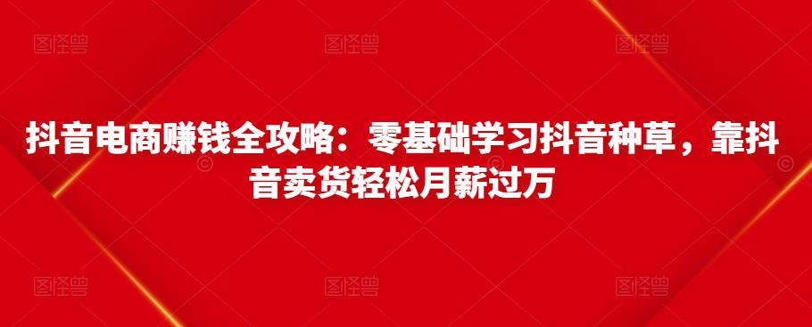 抖音电商赚钱全攻略：零基础学习抖音种草，靠抖音卖货轻松月薪过万-86资源库