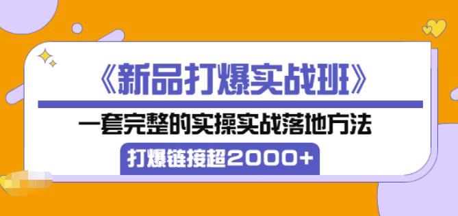 凌童《新品打爆实战班》,一套完整的实操实战落地方法，打爆链接超2000+（28节课)-86资源库