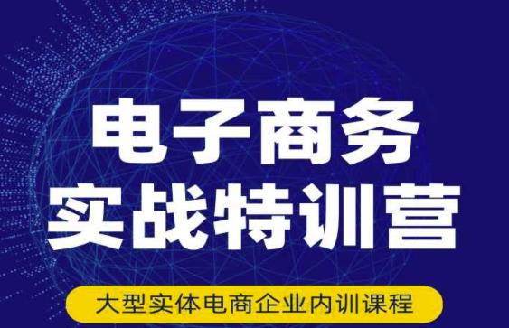 民赛电气内部出品：电子商务实战特训营，全方位带你入门电商，308种方式玩转电商-86资源库