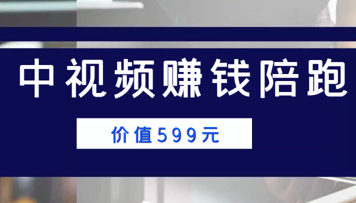 中视频赚钱陪跑，卖中视频账户赚钱收益陪跑项目（价值599元）-86资源库