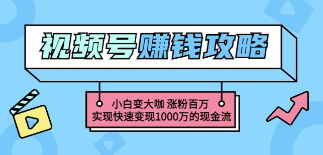 玩转微信视频号赚钱：小白变大咖涨粉百万实现快速变现1000万的现金流-86资源库
