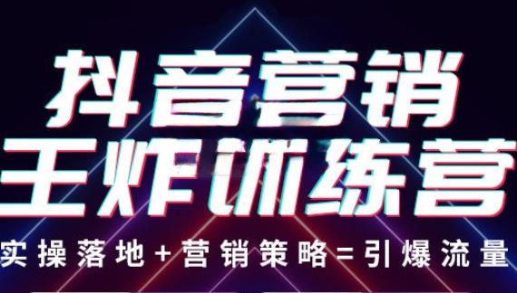 抖音营销王炸训练营，实操落地+营销策略=引爆流量（价值8960元）-86资源库