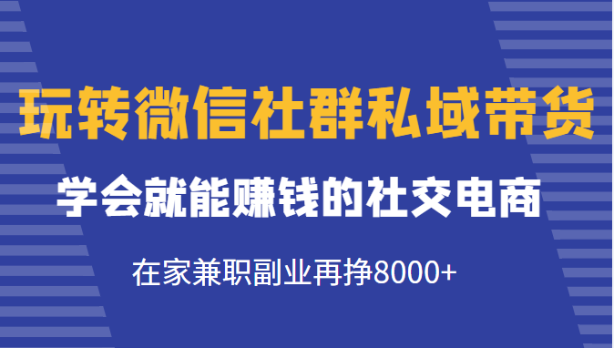 玩转微信社群私域带货，学会就能赚钱的社交电商，在家兼职副业再挣8000+-86资源库