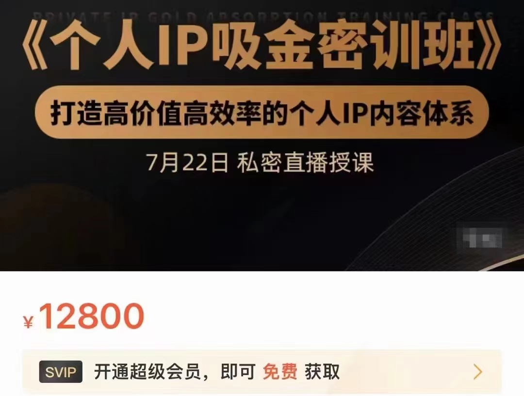 个人IP吸金密训班，打造高价值高效率的个人IP内容体系（价值12800元）-86资源库
