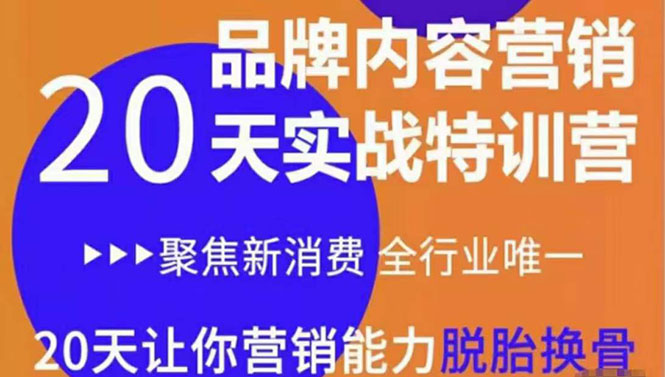 《内容营销实操特训营》20天让你营销能力脱胎换骨（价值3999）-86资源库