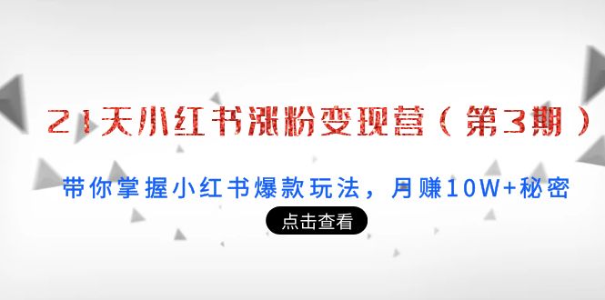 21天小红书涨粉变现营（第3期）：带你掌握小红书爆款玩法，月赚10W+秘密-86资源库