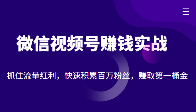 微信视频号赚钱实战：抓住流量红利，快速积累百万粉丝，赚取你的第一桶金-86资源库