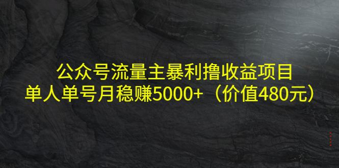 公众号流量主暴利撸收益项目，单人单号月稳赚5000+（价值480元）-86资源库