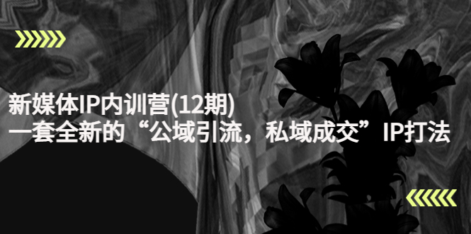 新媒体IP内训营(12期)，一套全新的“公域引流，私域成交”IP打法，直接带走-86资源库