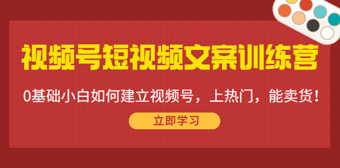 视频号短视频文案训练营：0基础小白如何建立视频号，上热门，能卖货！-86资源库