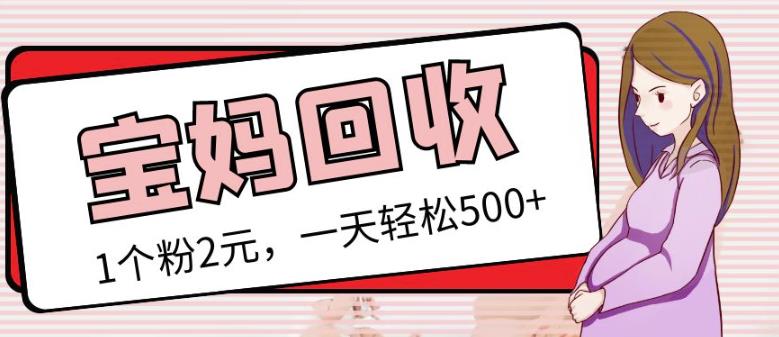 最新小红书母婴号宝妈粉回收项目，1个粉2元，一天轻松500+案例分享【粉丝包回收】-86资源库
