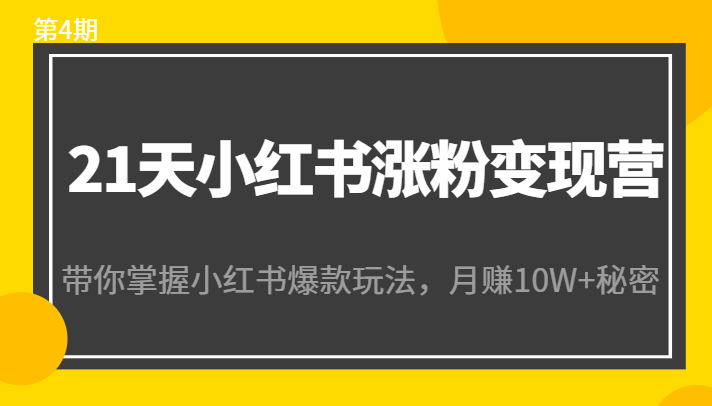 21天小红书涨粉变现营（第4期）：带你掌握小红书爆款玩法，月赚10W+秘密-86资源库