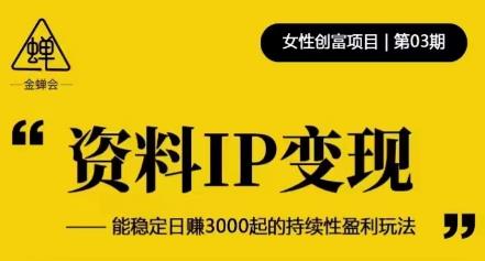 资料IP变现，能稳定日赚3000起的持续性盈利玩法-86资源库