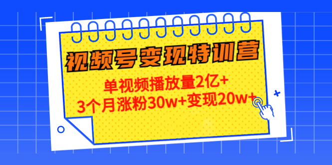21天视频号变现特训营：单视频播放量2亿+3个月涨粉30w+变现20w+（第14期）-86资源库
