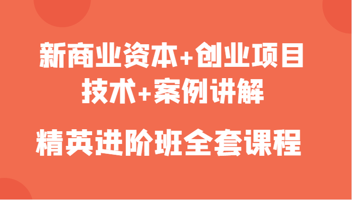 新商业资本+创业项目，技术+案例讲解，精英进阶班全套课程-86资源库