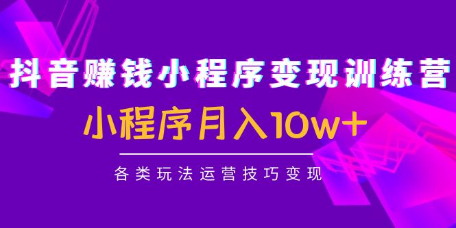 抖音赚钱小程序变现训练营：小程序月入10w+各类玩法运营技巧变现-86资源库