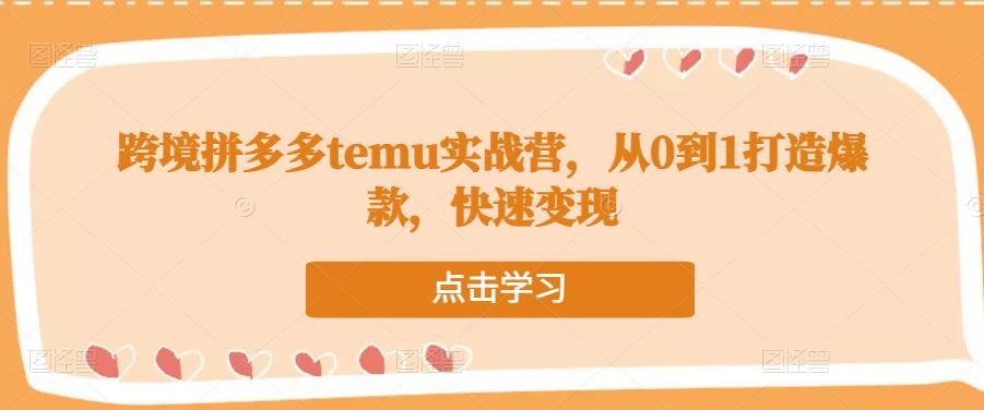 跨境拼多多temu实战营，从0到1打造爆款，快速变现-86资源库