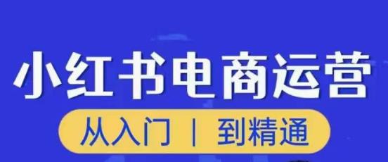 顽石小红书电商高阶运营课程，从入门到精通，玩法流程持续更新-86资源库