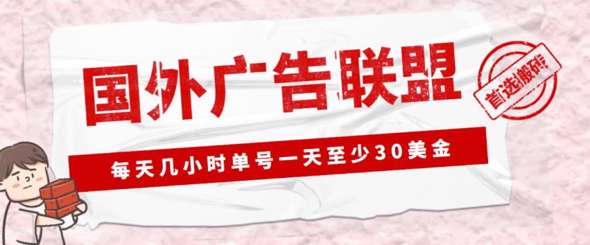外面收费1980的最新国外LEAD广告联盟搬砖项目，单号一天至少30美金【详细玩法教程】-86资源库