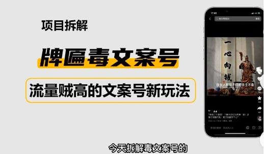 2023抖音快手毒文案新玩法，牌匾文案号，起号快易变现-86资源库