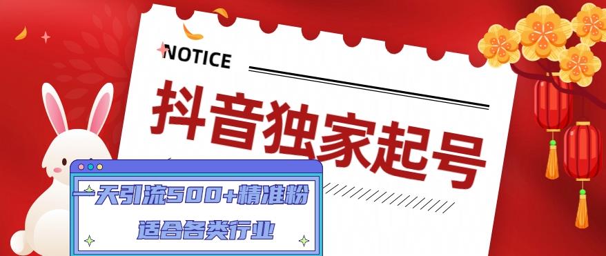抖音独家起号，一天引流500+精准粉，适合各类行业（9节视频课）-86资源库