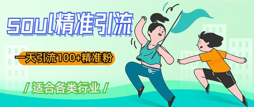 soul精准引流系列课程，一天引流100+精准粉，适合各类行业-86资源库